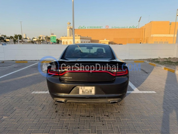 DODGE Used Cars for Sale DODGE Used Cars for Sale