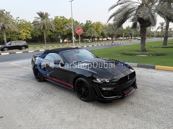 FORD Used Cars for Sale FORD Used Cars for Sale