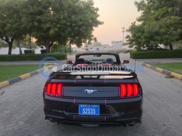FORD Used Cars for Sale FORD Used Cars for Sale