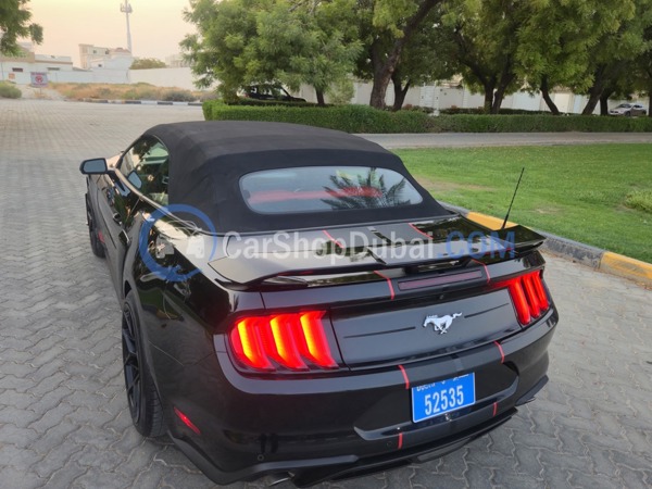 FORD Used Cars for Sale FORD Used Cars for Sale