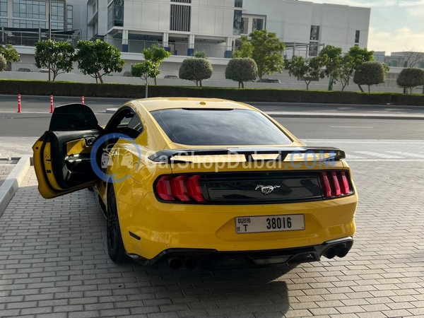 FORD Used Cars for Sale FORD Used Cars for Sale