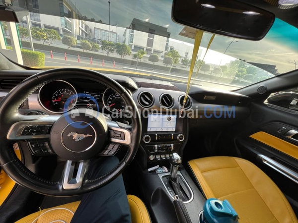 FORD Used Cars for Sale FORD Used Cars for Sale